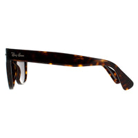 Ray-Ban Sunglasses Laramie RB2201 902/B1 Tortoise Dark Grey 54mm