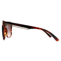 Bvlgari Sunglasses BV8245 551513 Havana Brown Gradient
