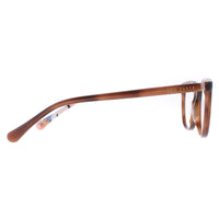 Ted Baker Glasses Frames TB9177 Pollina 126 Brown Women