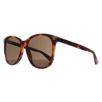 Gucci Sunglasses GG0024S 002 Havana Brown