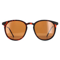 Montana Sunglasses MP33 E Havana Rubbertouch Brown Polarized