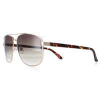 Smarty Sunglasses X1122 B Matte Gold Matte Demi Tortoise Brown Grey
