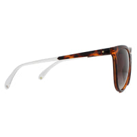 Polaroid Sunglasses PLD 4058/S 086 LA Havana Brown Brown Gradient Polarized