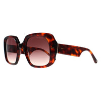 Ted Baker Sunglasses TB1730 Catrina 100 Tortoise Brown Gradient