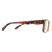 Polaroid Glasses Readers 0023/R 086 Havana +2.5 Blue Light Block