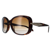 Prada Sunglasses PR04ZSF 2AU6E1 Tortoise Brown Gradient Polarized