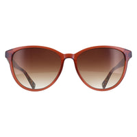 Ted Baker Sunglasses TB1763 Flori 111 Gloss Crystal Amber Brown Brown Gradient