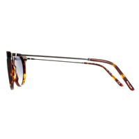 Polar Sunglasses York COL.428 Havana Grey Brown Polarized