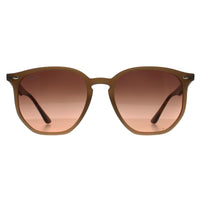 Ray-Ban Sunglasses RB4306 678846 Polished Turtledove Pink Gradient Grey