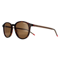 Hugo by Hugo Boss Sunglasses HG 1169/S 086 70 Dark Havana Brow