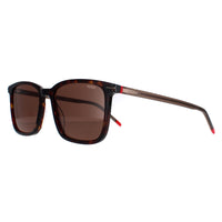 Hugo by Hugo Boss Sunglasses HG1168/S 086/70 Dark Havana Brown