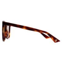 Gucci Sunglasses GG0024S 002 Havana Brown