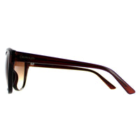 Calvin Klein Sunglasses CK19536S 210 Crystal Brown Brown
