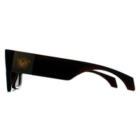 Versace Sunglasses VE4497U 554373 Transparent Brown Brown