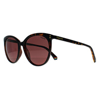 Polaroid Sunglasses PLD 6231/S 086 KL Havana Violet Polarized