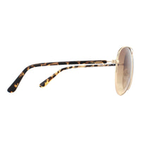 Calvin Klein Sunglasses CK19314S 717 Gold Tortoise Brown Gradient