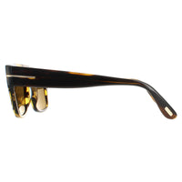 Tom Ford Sunglasses Dunning FT0907 48J Tortoise Brown