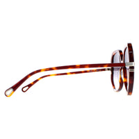 Chloe Sunglasses CH0105S 004 Tortoise Grey Gradient