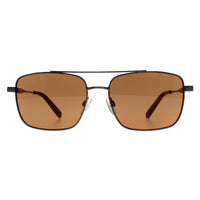 Ted Baker Sunglasses TB1720 Elijah 910 Shiny Light Gunmetal Brown