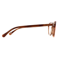 Ted Baker Glasses Frames TB9175 Saissa 296 Brown Women