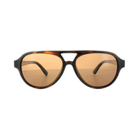 Serengeti Sunglasses Giorgio 8184 Shiny Dark Tortoise Polarized Drivers Brown