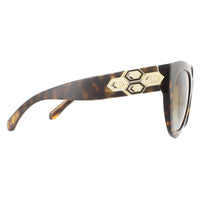 Bvlgari Sunglasses BV8214B 504/T5 Dark Havana Brown Gradient Polarized