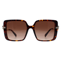 Bvlgari Sunglasses BV8243B 504/13 Havana Brown Gradient