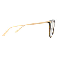 Dolce & Gabbana Glasses Frames DG3330 502 Havana Women