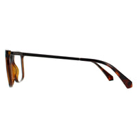 Polaroid Glasses Frames PLD D497 086 Havana Men