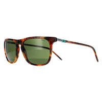 Polo Ralph Lauren Sunglasses PH4168 501771 Shiny Jerry Havana Bottle Green