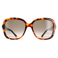 Jimmy Choo Sunglasses SADIE/S 086 HA Havana Brown Gradient
