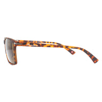 Montana Sunglasses MP51 D Brown Turtle Rubbertouch Brown Polarized