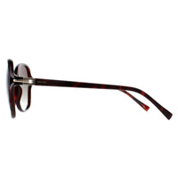 INVU Sunglasses B2114 B Warm Demi Brown Tortoise Brown Polarized