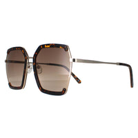 Guess Sunglasses GF0418 52F Dark Havana Brown Gradient