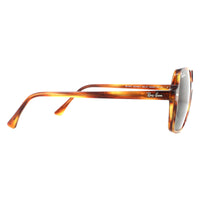 Ray-Ban Sunglasses RB1973 954/31 Striped Havana Green Classic G-15