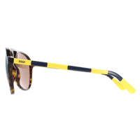 Polo Ralph Lauren Sunglasses PH4173 500373 Shiny Dark Havana Brown