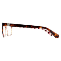 Kate Spade Glasses Frames Calley 086 Havana Women