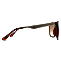 Guess Sunglasses GF0171 52F Dark Havana Brown Gradient