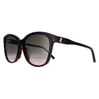 Jimmy Choo Sunglasses Lidie/F/SK 086/HA Dark Havana Brown Gradient