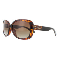 Polaroid Sunglasses PLD 4069/G/S/X 086 LA Havana Brown Gradient Polarized
