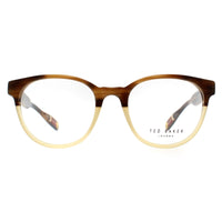 Ted Baker Glasses Frames TB8197 Cade 162 Brown Horn and Honey Men Women