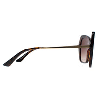 Dolce & Gabbana Sunglasses DG4399 502/13 Havana Brown Gradient