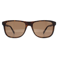 Banana Republic Sunglasses BR 1004/S N9P SP Matte Havana Brown Polarized