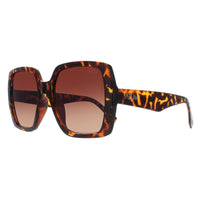 Atum Sunglasses Zouk C2 Shiny Havana Brown Gradient