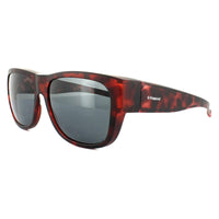Polaroid Suncovers Fitover Sunglasses 9003/S MRJ Y2 Havana Grey Polarized
