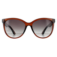 Smarty Sunglasses SB2312 B Transparent Brown Grey