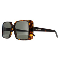 Saint Laurent Sunglasses SL451 003 Havana Grey