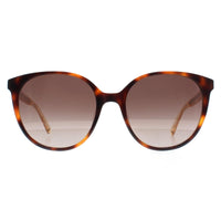 Kate Spade Sunglasses Kimberlyn/G/S 086 HA Havana Brown Gradient