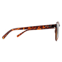 Polaroid Sunglasses PLD 1013/S V08 H8 Havana Green Polarized