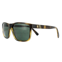 Polo Ralph Lauren Sunglasses PH4133 500371 Havana Green